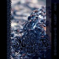 NeverDie (RUS) : The Last Divination